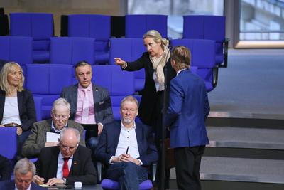 Berlin, Deutschland, 31.01.2025: Deutscher Bundestag: 211. Bundestagssitzung: Alice Weidel zeigt in der AfD-Fraktion mit-stock-foto