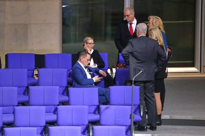 Berlin, Deutschland, 31.01.2025: Deutscher Bundestag: 211. Bundestagssitzung: AfD-Abgeordnete wenige Minuten nach Bekann-stock-foto