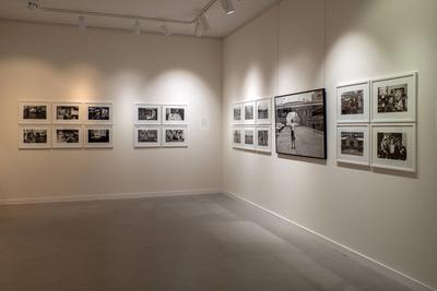 Fotoschau zeigt Werke von Holger Herschel in Ribnitz-Damgarten - 30.01.2025:-stock-foto