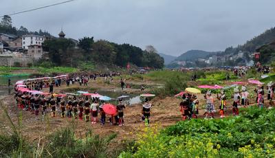 Girls' Day-stock-foto