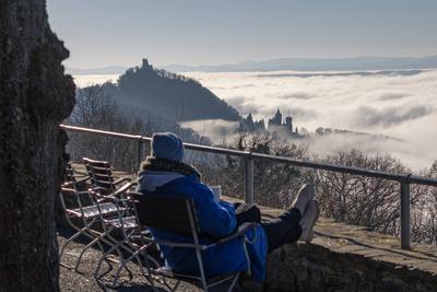 Tiefnebel ?ber dem Rheintal in K?nigswinter - 01.02.2025-stock-foto