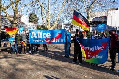 Menschen nehmen an einer Demonstration gegen den Wahlkampf der Partei Alternative f?r Deutschland (AfD) in Neu-Isenburg, Deutschland, am 01. Februar 2025 teil-stock-foto