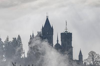 Tiefnebel ?ber dem Rheintal in K?nigswinter - 01.02.2025-stock-foto