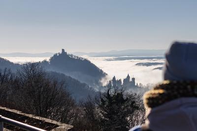 Tiefnebel ?ber dem Rheintal in K?nigswinter - 01.02.2025-stock-foto