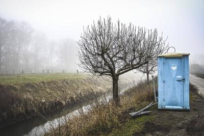 Neblige Landschaft mit Toilettenh?uschen in Kirchwerder, Hamburg, Deutschland *** Foggy landscape with toilet house in K-stock-photo