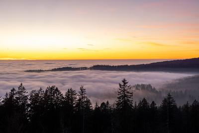Sonnenuntergang ?ber dem Nebelmeer-stock-foto
