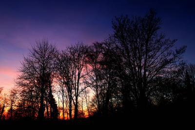 Kr?ftige Sonnenunterg?nge Ein au?ergew?hnlich kr?ftiger Sonnenuntergang im Winter mit warmen Farben nach einem milden Ta-stock-foto
