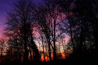 Kr?ftige Sonnenunterg?nge Ein au?ergew?hnlich kr?ftiger Sonnenuntergang im Winter mit warmen Farben nach einem milden Ta-stock-foto