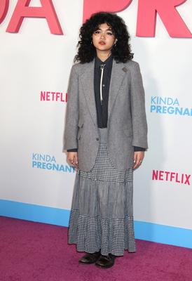 Netflix's Kinda Pregnant Premiere-stock-foto