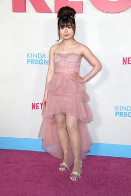 Netflix's Kinda Pregnant Premiere-stock-foto