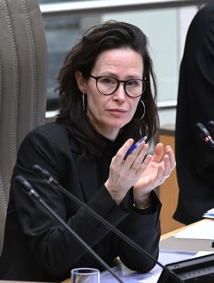 Plenary Session Of The Flemish Parliament 05/02/2025-stock-foto