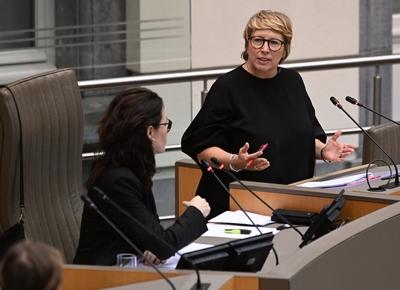 Plenary Session Of The Flemish Parliament 05/02/2025-stock-foto