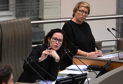 Plenary Session Of The Flemish Parliament 05/02/2025-stock-foto