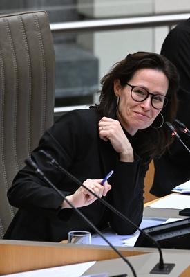 Plenary Session Of The Flemish Parliament 05/02/2025-stock-foto