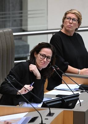 Plenary Session Of The Flemish Parliament 05/02/2025-stock-foto