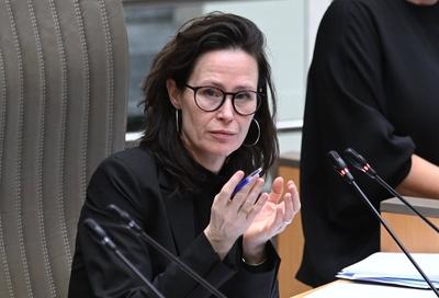 Plenary Session Of The Flemish Parliament 05/02/2025-stock-foto