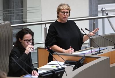 Plenary Session Of The Flemish Parliament 05/02/2025-stock-foto