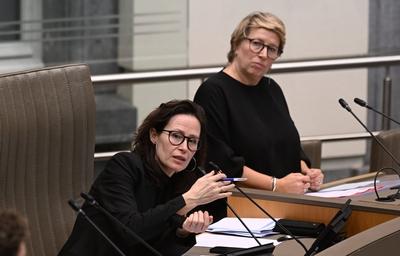 Plenary Session Of The Flemish Parliament 05/02/2025-stock-foto