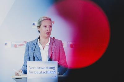 Alice Weidel, Bundesvorsitzende der AfD (Alternative fuer Deutschland), spricht zu den Medien vor der Fraktionssitzung i-stock-photo