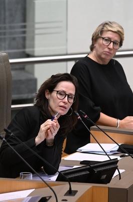 Plenary Session Of The Flemish Parliament 05/02/2025-stock-foto