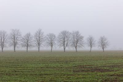 Wetter in Brandenburg-stock-photo