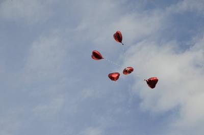 herzen,luftballons,herz,luftballon *** heart,balloons,hearts,balloon gwr-mge-stock-photo