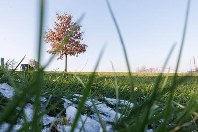 Heitere winterliche Impressionen aus dem Rheinpark Duisburg-stock-foto