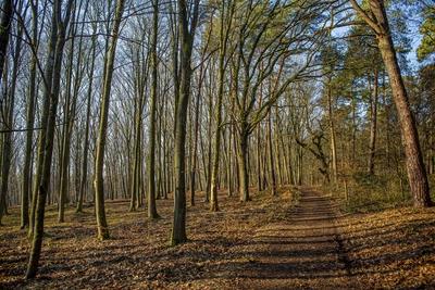 Wahner Heide-stock-foto