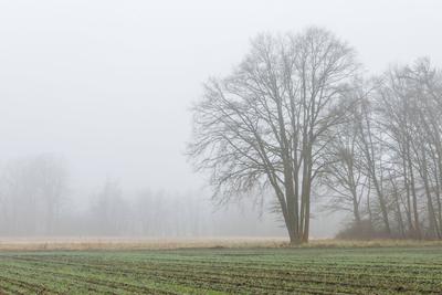 Wetter in Brandenburg-stock-photo
