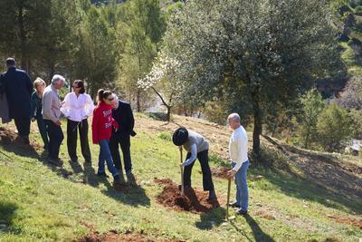 39th Goya Awards - Maribel Verdu, Leonor Watling and Aitana Sanchez-Gijon plant holm oak trees-stock-foto