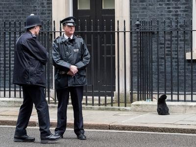 17 02 2017 London United Kingdom Foreign Office Cat Snubbed By Number 10 Downing Street Reject-stock-foto
