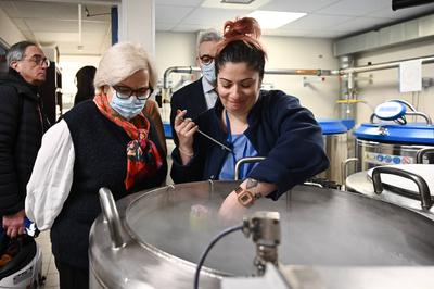 Visit of the Minister of Labor, Health, Solidarity and Families, Catherine Vautrin to the PMA service of the Tenon hospital in Paris, February 7, 2025-stock-foto