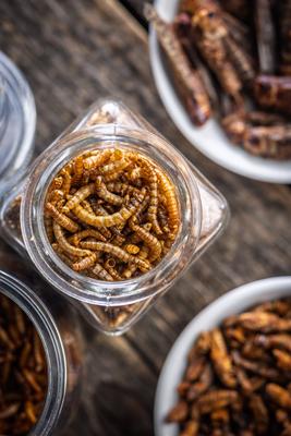 Getrocknete gesalzene W?rmer. Ger?stete Mehlw?rmer in einem Glas auf einem Holztisch. Ansicht von oben.-stock-photo