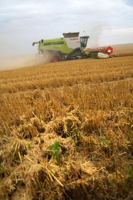 Uckermark GER, Deutschland, 20240715,Uckermark, M?hdrescher Lexion 770 *** Uckermark GER, Germany, 20240715,Uckermark, L-stock-foto