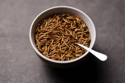 Mehlwürmer in einer Müsli-Schüssel. Die EU hält es für gesundheitlich unbedenklich, gelbe Mehlwürmer zu essen. Die europ-stock-foto