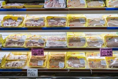Poultry farmers on alert for bird flu epidemic Chicken in a supermarket in the New York neighborhood-stock-foto