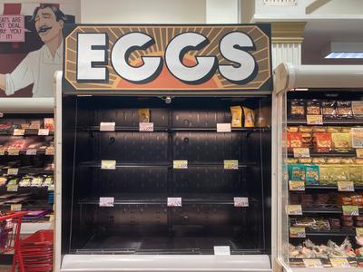 Effects of h5n1-stock-foto