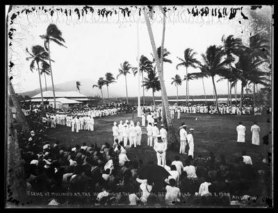 RECORD DATE NOT STATED  Scene at Mulinu u Peninsula, Upolu, hoisting the German Imperial flag black-and-white negatives,-stock-foto
