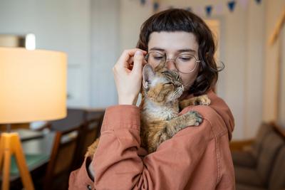 Katzenbesitzerin, liebevolle Frau, umarmt, k?sst, h?lt ihr Haustier in den H?nden und liebt es zu Hause. Therapie durch Haustier-stock-photo
