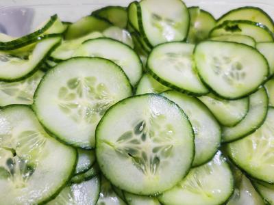 IMAGO Creative, Food, Gurkensalat Gurke, Salatgurke, Schlangengurke (Cucumis sativus), Gurkenscheiben, Gurkensalat cucum-stock-photo