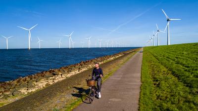 A man gracefully rides a bike along a path next to a tranquil body of water in the scenic landscape of Netherlands Flevo-stock-photo