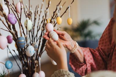 Close up of decorating pussy willows branches, putting easter eggs on them. Close up of decorating pussy willows branche-stock-photo