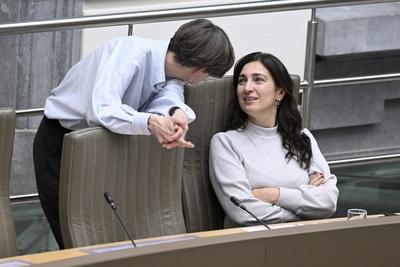 Plenary Session Of The Flemish Parliament 12/02/2025-stock-foto