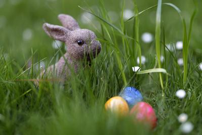 Osterhasen-Figuren sitzen auf einer Wiese mit Ostereiern. Zu Ostern feiern die Christen das Fest der Auferstehung Jesu C-stock-foto