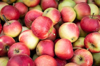 Gro?e Menge roter , geernteter ?pfel liegen ?bereinander, Hintergrundmotiv. Apfel- und Obsternte mit der Hand. Die nicht-stock-foto