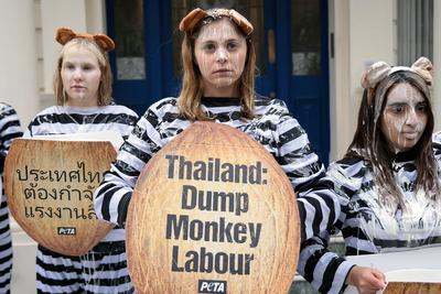 PETA "monkeys" protest Thai Embassy London-stock-foto