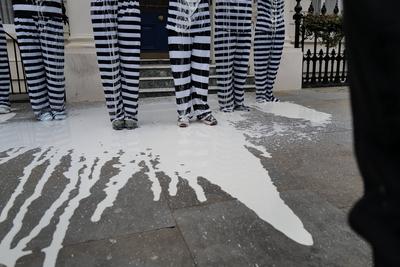 PETA Monkey Protest in London-stock-foto