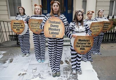 PETA "monkeys" protest Thai Embassy London-stock-foto