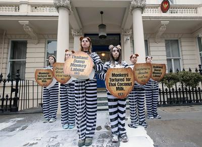 PETA "monkeys" protest Thai Embassy London-stock-foto