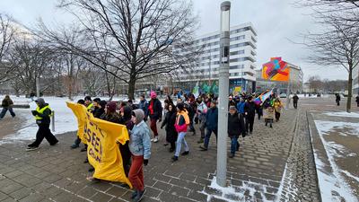 Fridays for Future-stock-foto